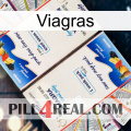 Viagras kamagra1